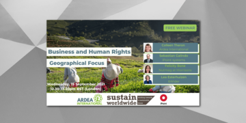 Webinar „Wirtschaft und Menschenrechte – Geografischer Fokus“